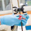 Des doctorants en laboratoire